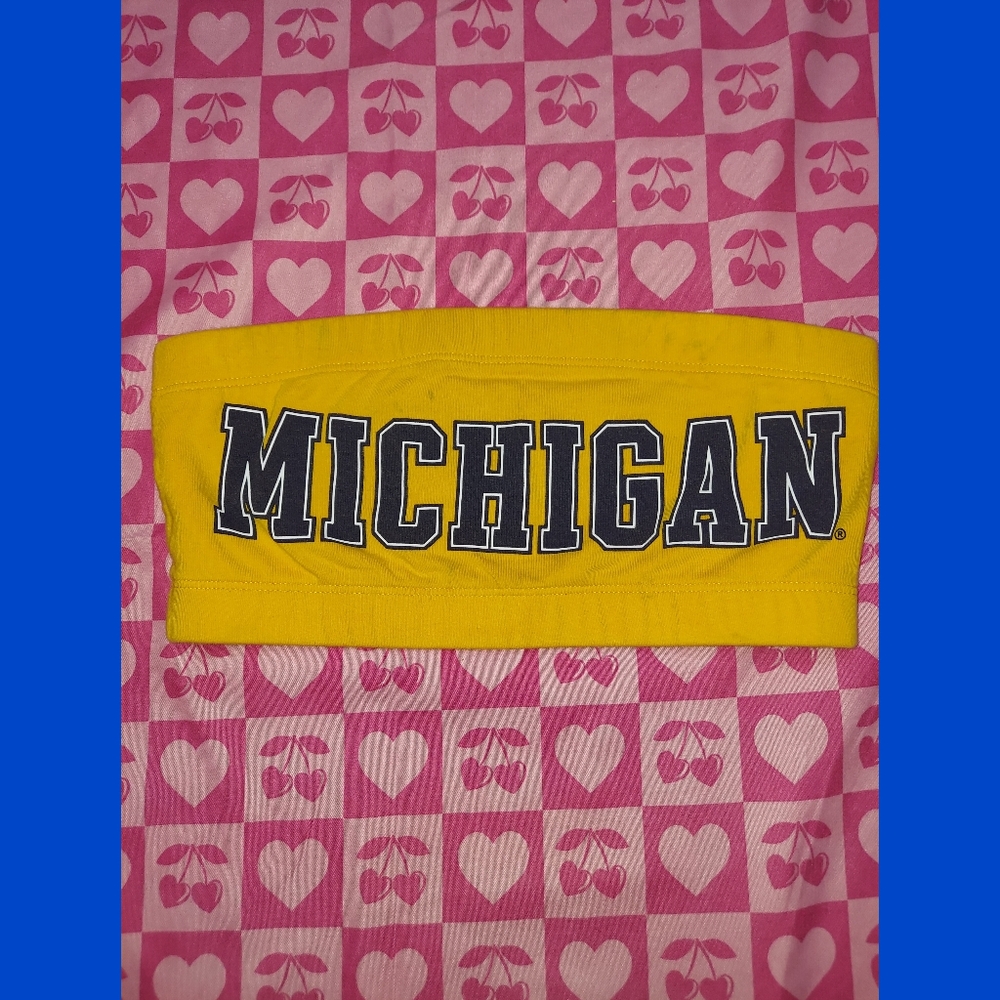 Victorias Secret PINK Michigan Wolverines Sports Bra